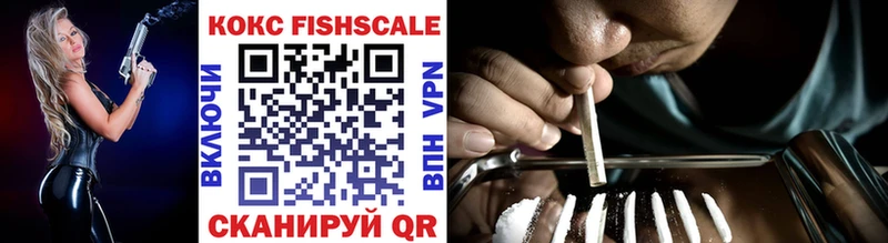Кокаин Fish Scale  ОМГ ОМГ сайт  Кизилюрт 