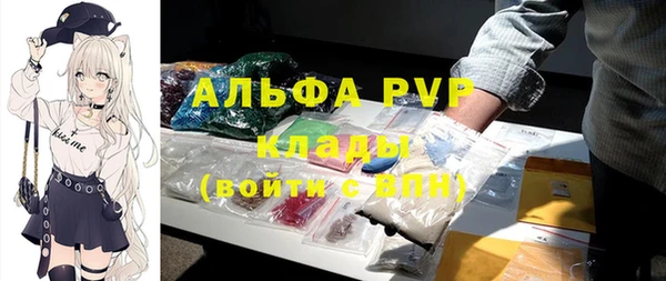 PSILOCYBIN Кинешма
