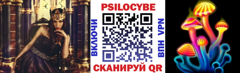 Псилоцибиновые грибы MAGIC MUSHROOMS  наркота  Кизилюрт 