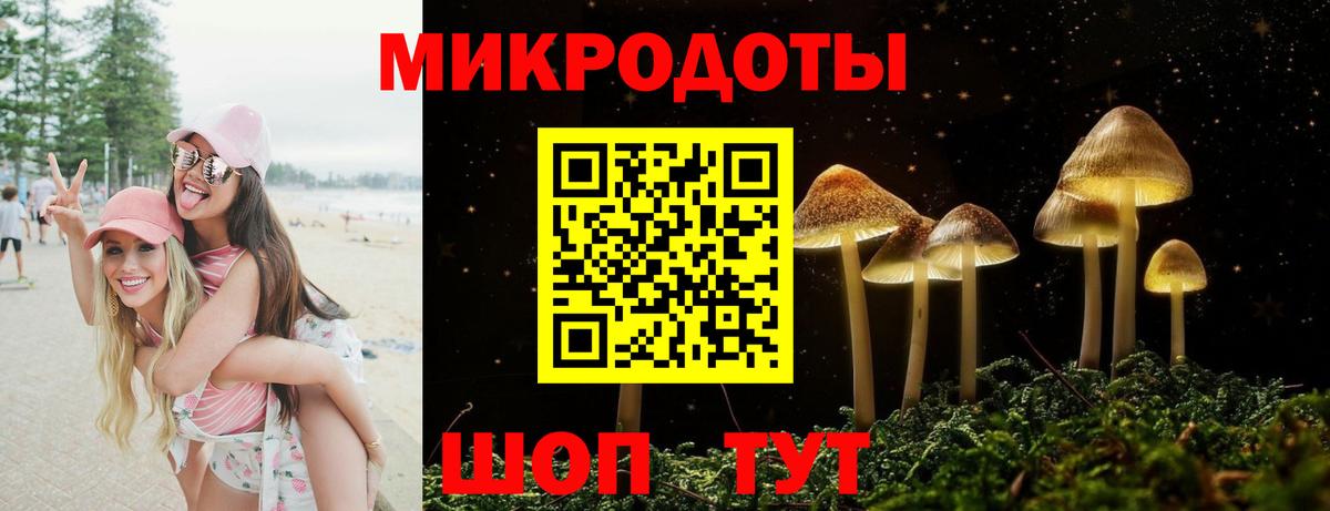Псилоцибиновые грибы GOLDEN TEACHER  Вход с VPN  Кизилюрт  Галлюциногенные грибы мухоморы 