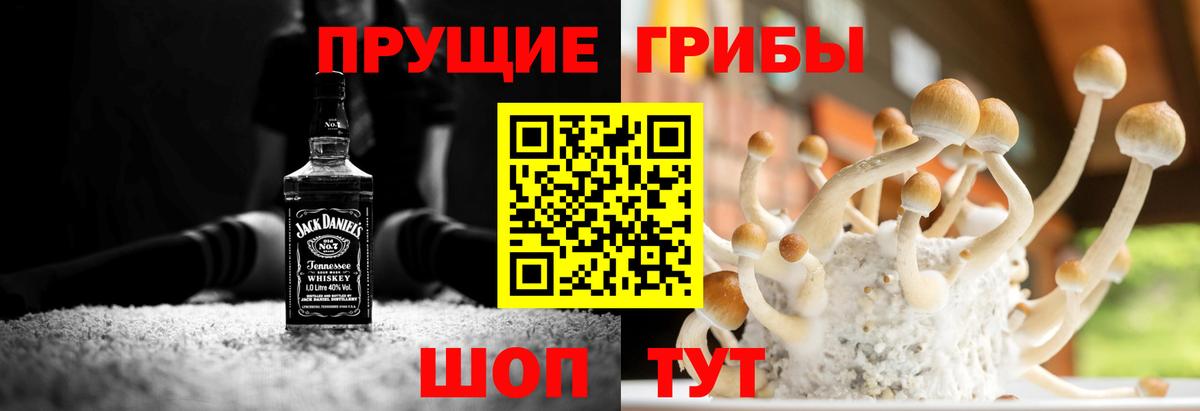 Галлюциногенные грибы Psilocybine cubensis Кизилюрт